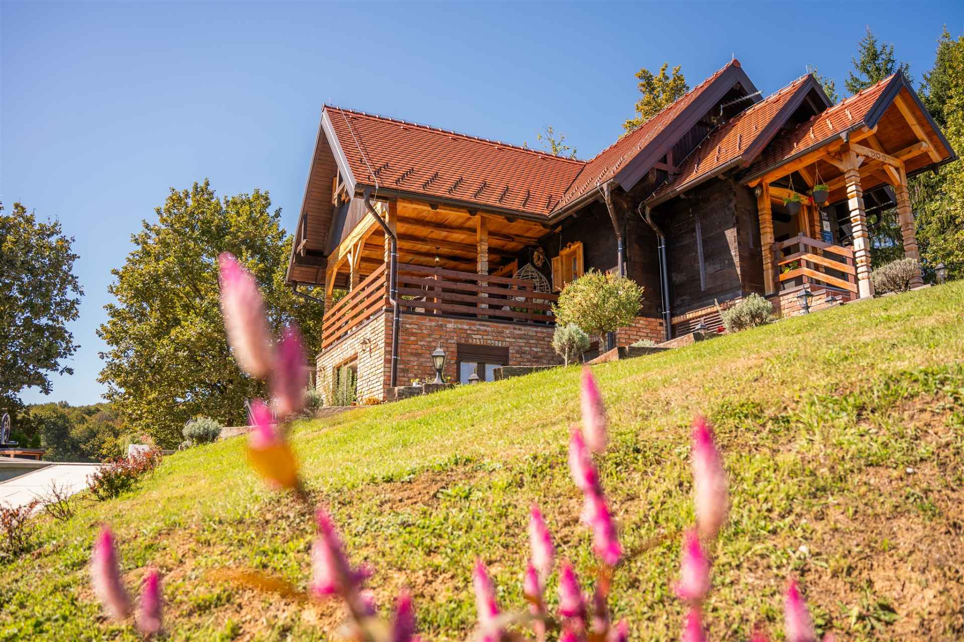 Flying Stars Trolokve